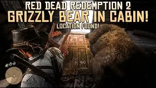 Red Dead Redemption 2 -Grizzly  Bear In Cabin Location