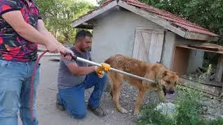 BUTUZ SICAK ANLAR YAŞATTI &Ccedil;İFLİKDE