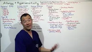 Allergy and Hypersensitivity Type II Clinical Immunology