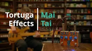 Tortuga Effects Mai Tai Dual Classic Phaser - DMTR Pedal Shop #быстрообзор