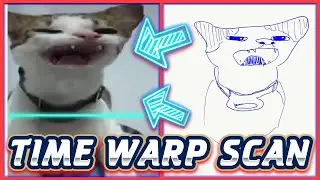 Time Warp Filter Compilation: Pet Edition 🙀✍Drawing the end results | ANIMALS TIKTOK COMPILATION #32