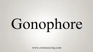 How To Say Gonophore