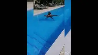 NAWATA Aquatic Massage