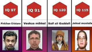 comparison: Most wanted criminal IQ Level.