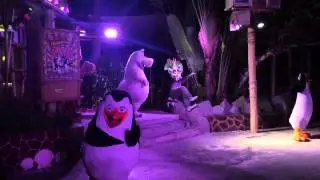 Madagascar Boogie!