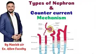 Counter current mechanism 🤯 Crystal clear