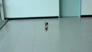 First controlled flight of an insect-like tailless Flapping-wing UAV (KUBeetle)