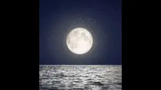Goodbye Moonmen