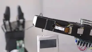 Robots that can Manipulate Cables