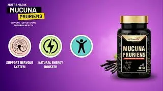 Mucuna Pruriens Kapikachhu Extract for Mood and Muscle support Supplement - 60 Capsules