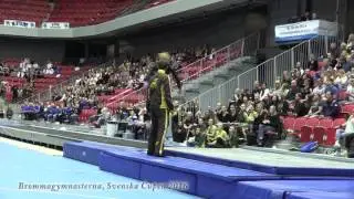 Brommagymnasterna, tumbling och trampett, Svenska Cupen 2016, truppgymnastik