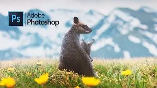 Animals - Photo Manipulation Effects Tutorial | Photoshop CC