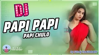 Papi Papi Papi Chulo Dj Song || English Dj Remix Song || Dance Remix Dj ||Mix By Dj Suraj Chaudhary