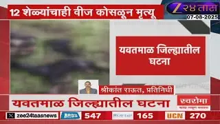 YAVATMAL 12 SHEEPS DIED