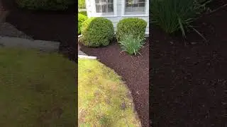 Coco brown mulching
