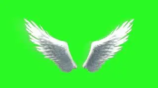 Angel Demon Wings Top Green Screen Animation | Effect | No Coppright