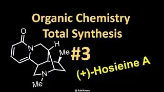 Total synthesis 3: (+)-Hosieine A