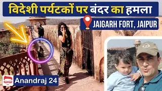 विदेशी पर्यटकों पर बंदर का हमला | Jaigarh Fort, Jaipur | Suman & Anand Choudhary | Anandraj 24 Vlog