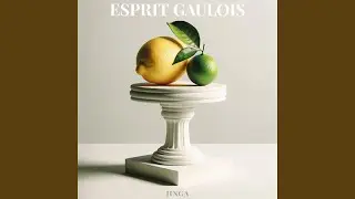 ESPRIT GAULOIS
