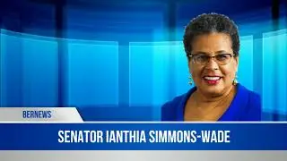 Senator Ianthia Simmons-Wade Speech In Senate, Feb 12 2020