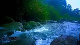 River Flow Sleep Music: Nature Sounds to Calm Mind, Reduce Stress & Aid Insomnia