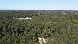 Petit vol autour de Labenne