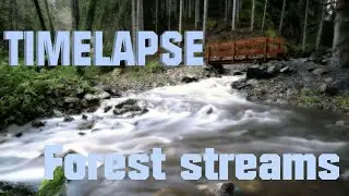 Black Forest Streams | TIMELAPSE | 4K