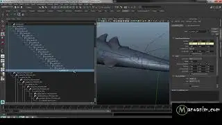 Maya tutorial  - quadruped rigging pt8  tail pt2 1080p