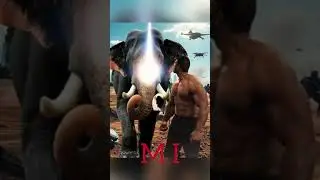Ipl team spirit