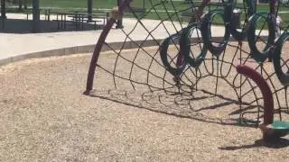 Obstacles to the south of the far west bridge at Fort Marcy park