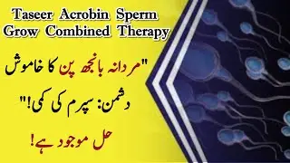 Mardana Kamzori Aur Low Sperm Count Ka Kamyab Ilaj | Taseer Acrobin Sperm Grow Therapy