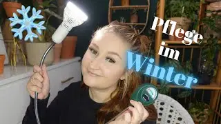 Pflanzenpflege im WINTER ❄️ | Was muss man beachten? 🪴