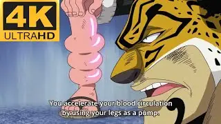Luffy vs Lucci | Lucci explains Gear 2nd #onepiece #enieslobby