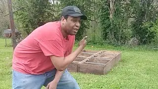 The Pumpkin Patch TPIM SR Live