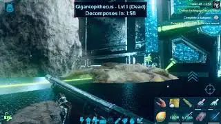 I&rsquo;m beat boss dungeon gorilla my old single player