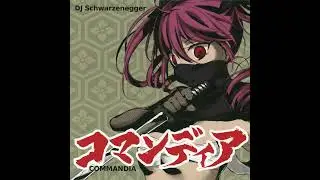DJ Schwarzenegger - Bitch [edit]