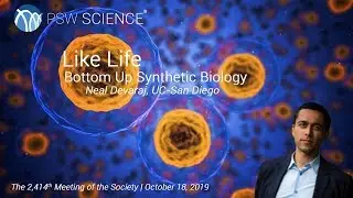 PSW 2414 Like Life | Neal Devaraj