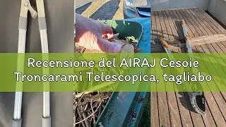 Recensione del AIRAJ Cesoie Troncarami Telescopica, tagliabordi espandibile per carichi Pesanti, con