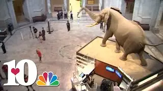White House reviewing Smithsonian exhibits to make sure they align with president's vision