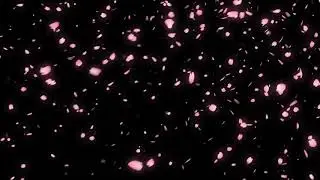 Moving rose petals background/gifs