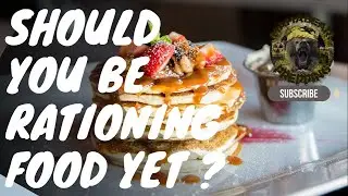 Стоит ли вам уже нормировать еду? (КАК К ЭТОМУ ПОДГОТОВИТЬСЯ)