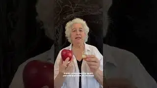 How Apple Seeds Become Oil 🍎🌱