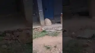 Village life in Western Kenya