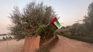 Al Qudra lake #alqudra#nature #love #sunset #uae #love #offroad#dubai #dubaivenues #winter#flamingo