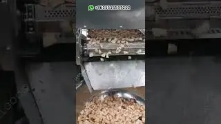 Continuous Chin Chin Fryer Machine