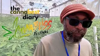 CRUISES CONCERTS AND CANNABIS IN ST VINCENT FOR THE CANNABLISS FESTIVAL 2025 | THE CANNABEST DIARY