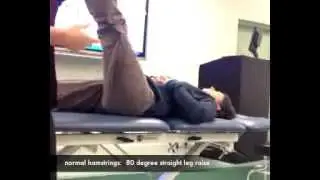 Hip ROM