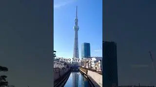6 places visit in Tokyo Guide #DiscoverTokyo #TokyoGuide #InTheKnow #TravelTips #HiddenTreasures