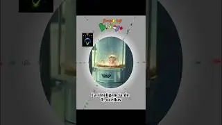 Alien Earth - La inteligencia de T. ocellus