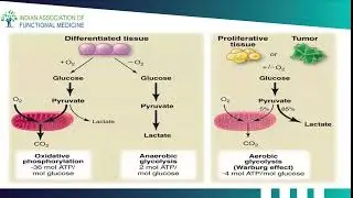 Thomas Lodi, MD | Relooking at Cancer Management Through a Functional Medicine Lens | IAFMCON 2024